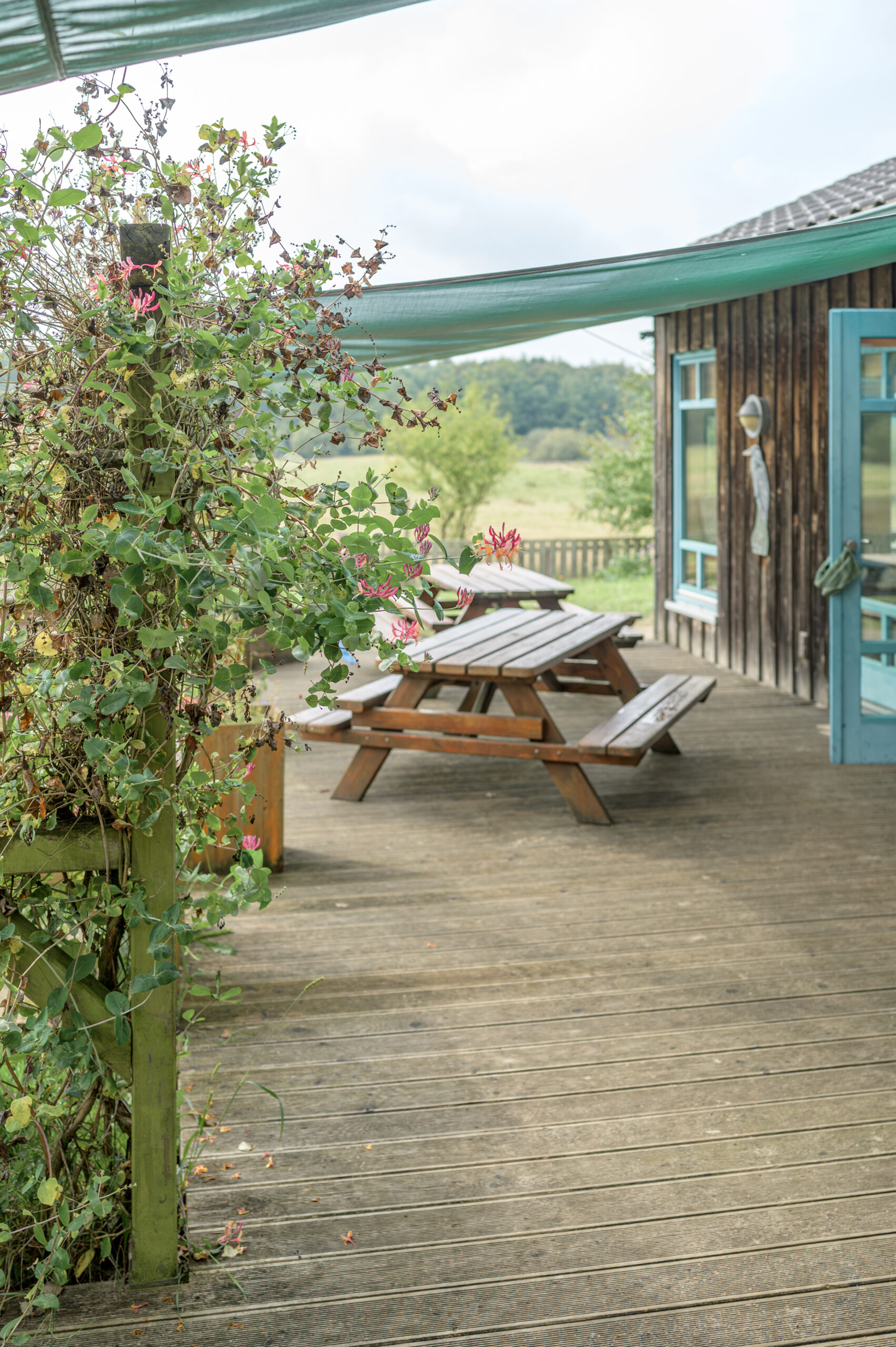 Terrasse und Garten der ADS Natur-Kita in Oeversee am Fototag mit Annette Kleinschmidt Kitafotografin in Gluecksburg, Flensburg und Umgebung.
