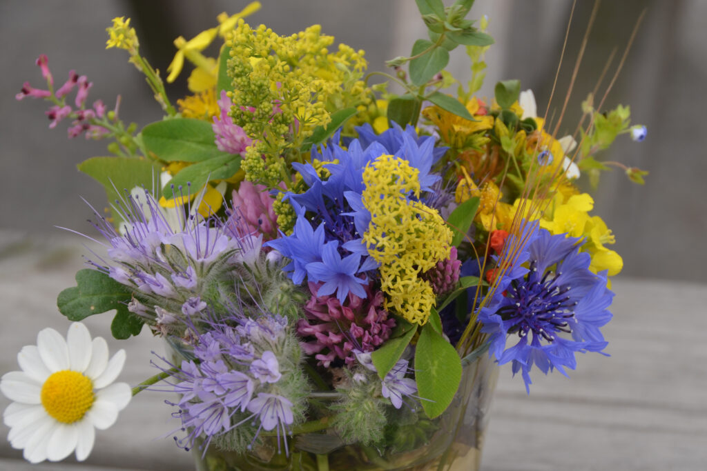 bunter Wildblumenstrauß in der Nahaufnahme in Flensburg.
