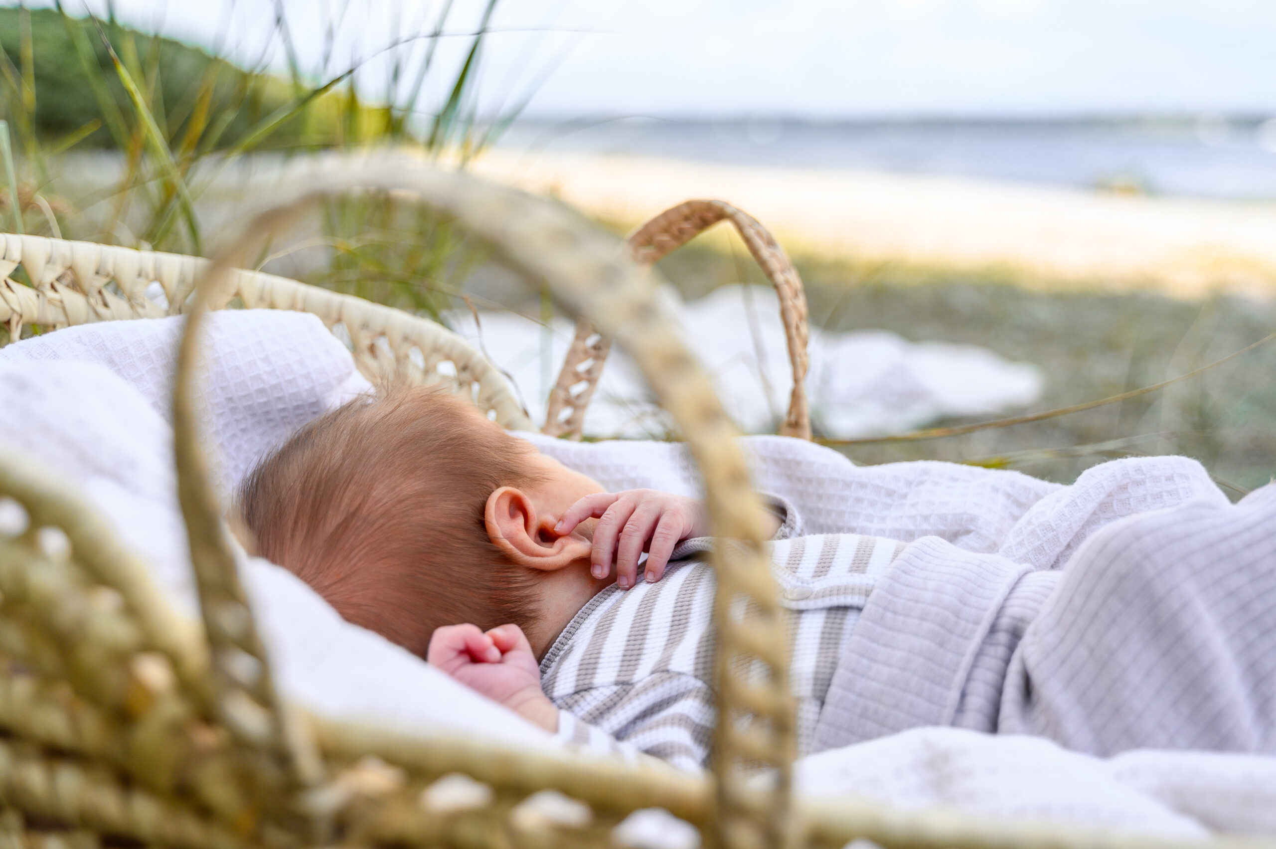 Neugeborenes Baby im Koerbchen in Decken gekuschelt am Strand in Gluecksburg Quellental im Hintergrund die Flensburger Foerde